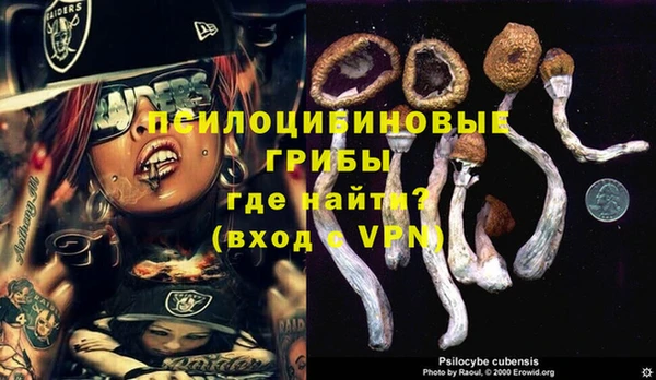 трава Алзамай