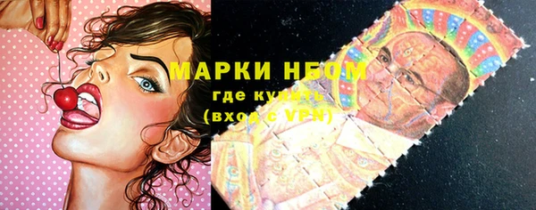 СК Алексин