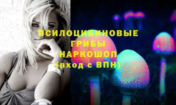 ешки Армянск