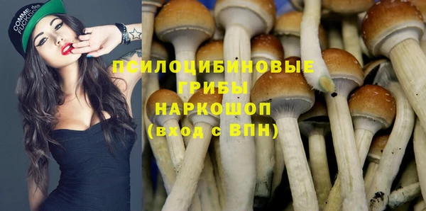 трава Алзамай